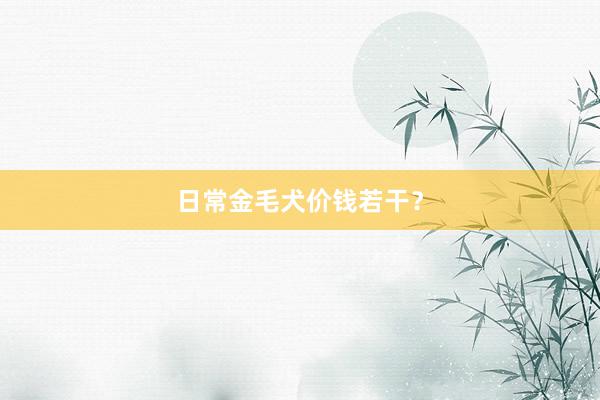 日常金毛犬价钱若干？